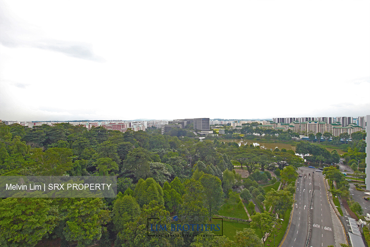 Blk 348C Adora Green (Yishun), HDB 5 Rooms #189923902